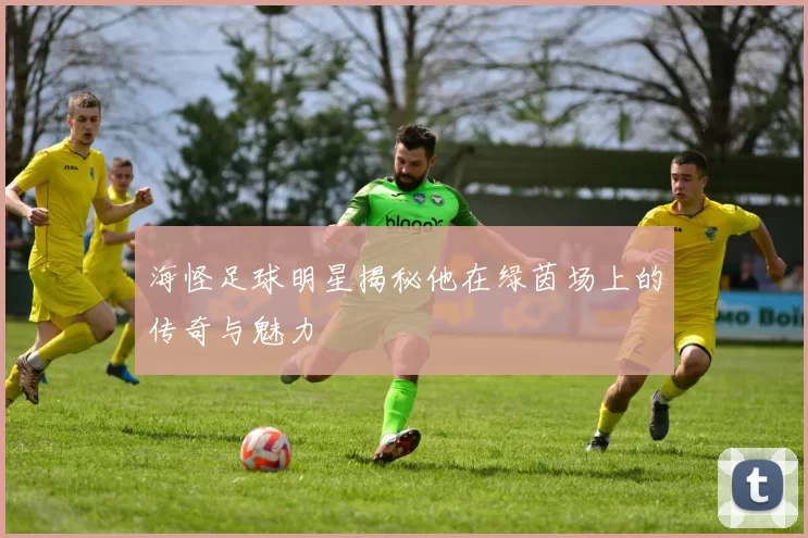 海怪足球明星揭秘他在绿茵场上的传奇与魅力