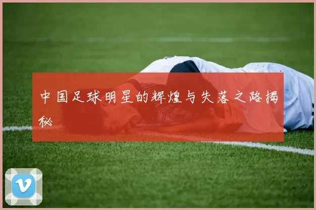 中国足球明星的辉煌与失落之路揭秘