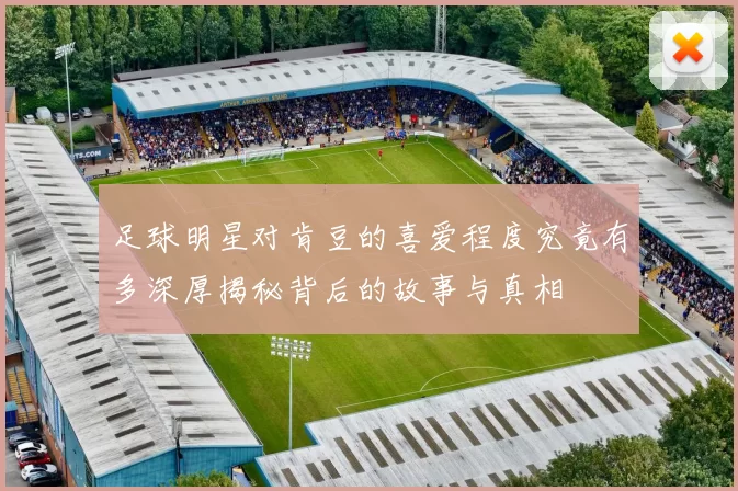 足球明星对肯豆的喜爱程度究竟有多深厚揭秘背后的故事与真相