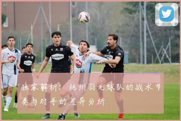 独家解析：杭州羽毛球队的战术节奏与对手的差异分析