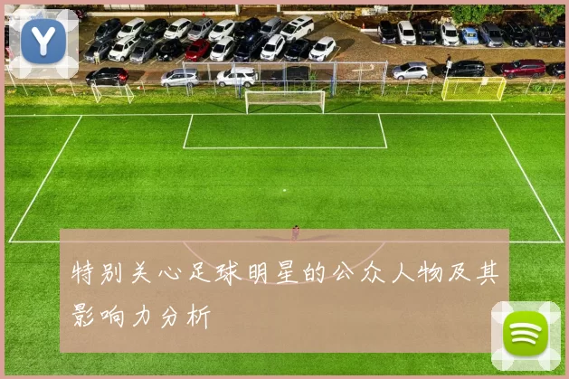 特别关心足球明星的公众人物及其影响力分析