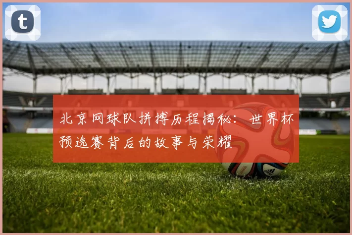 北京网球队拼搏历程揭秘：世界杯预选赛背后的故事与荣耀