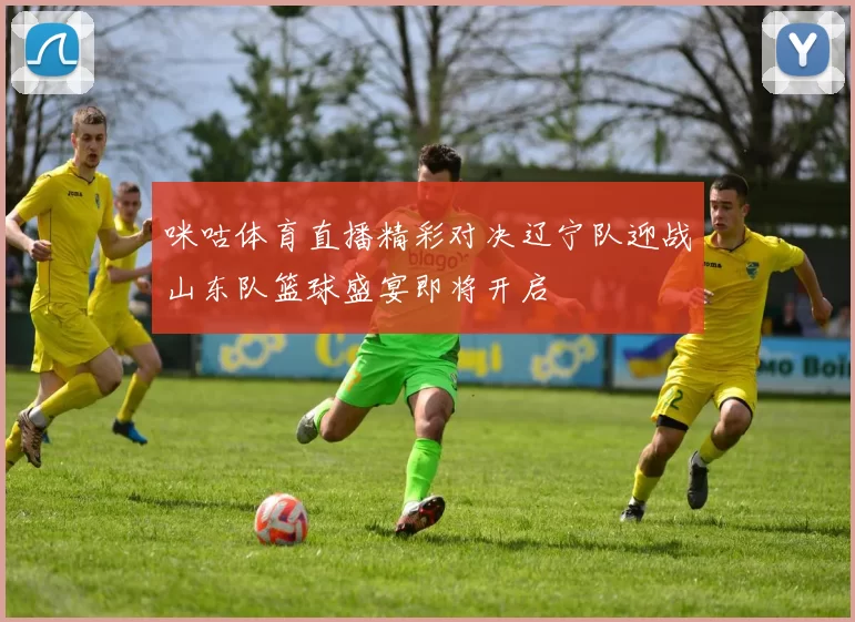 咪咕体育直播精彩对决辽宁队迎战山东队篮球盛宴即将开启