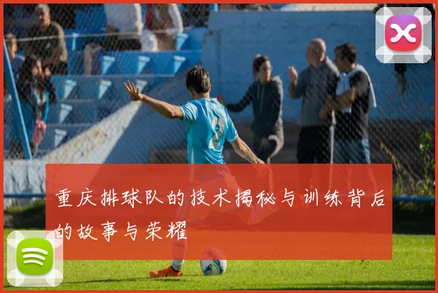 重庆排球队的技术揭秘与训练背后的故事与荣耀