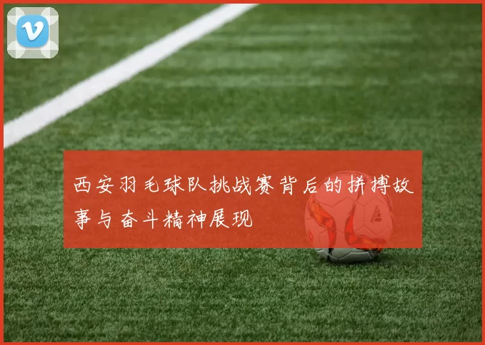 西安羽毛球队挑战赛背后的拼搏故事与奋斗精神展现