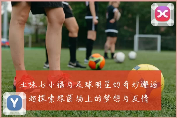 土味七小福与足球明星的奇妙邂逅一起探索绿茵场上的梦想与友情