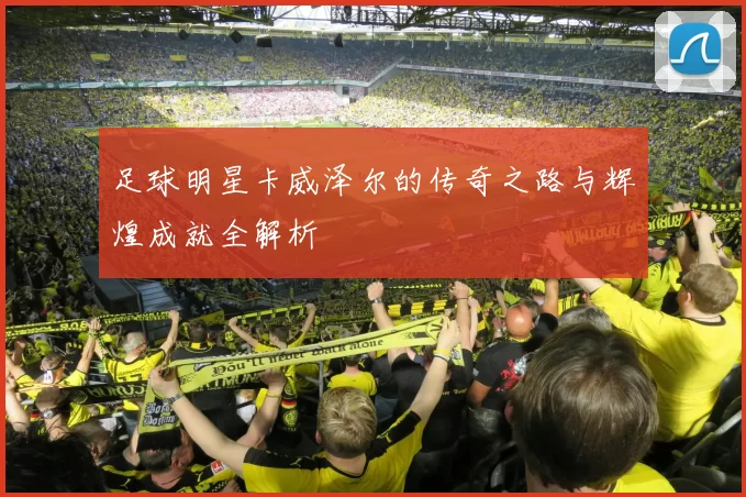 足球明星卡威泽尔的传奇之路与辉煌成就全解析