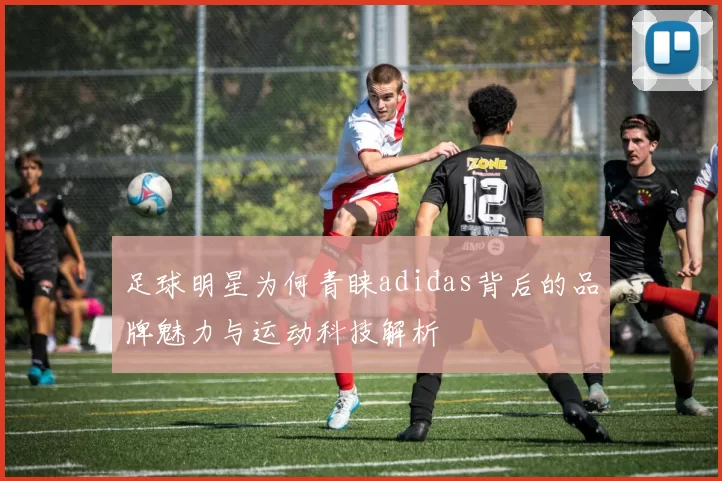 足球明星为何青睐adidas背后的品牌魅力与运动科技解析