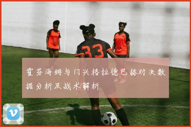 霍芬海姆与门兴格拉德巴赫对决数据分析及战术解析