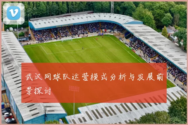 武汉网球队运营模式分析与发展前景探讨