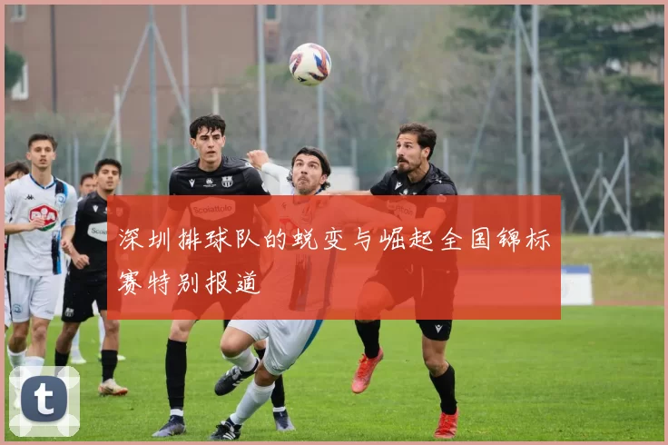 深圳排球队的蜕变与崛起全国锦标赛特别报道