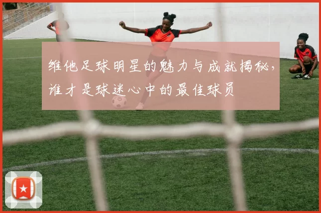 维他足球明星的魅力与成就揭秘，谁才是球迷心中的最佳球员