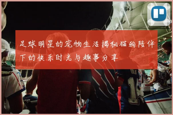足球明星的宠物生活揭秘猫狗陪伴下的快乐时光与趣事分享