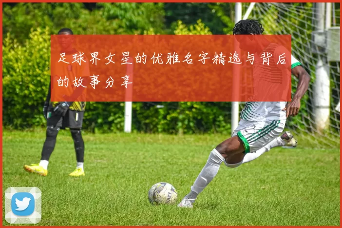 足球界女星的优雅名字精选与背后的故事分享