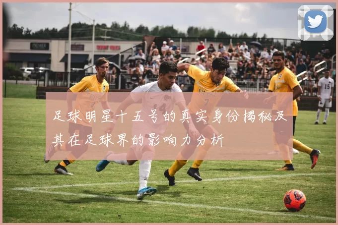 足球明星十五号的真实身份揭秘及其在足球界的影响力分析