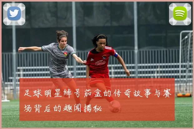 足球明星绰号茄盒的传奇故事与赛场背后的趣闻揭秘