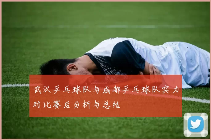 武汉乒乓球队与成都乒乓球队实力对比赛后分析与总结