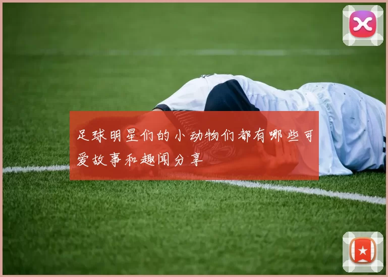 足球明星们的小动物们都有哪些可爱故事和趣闻分享